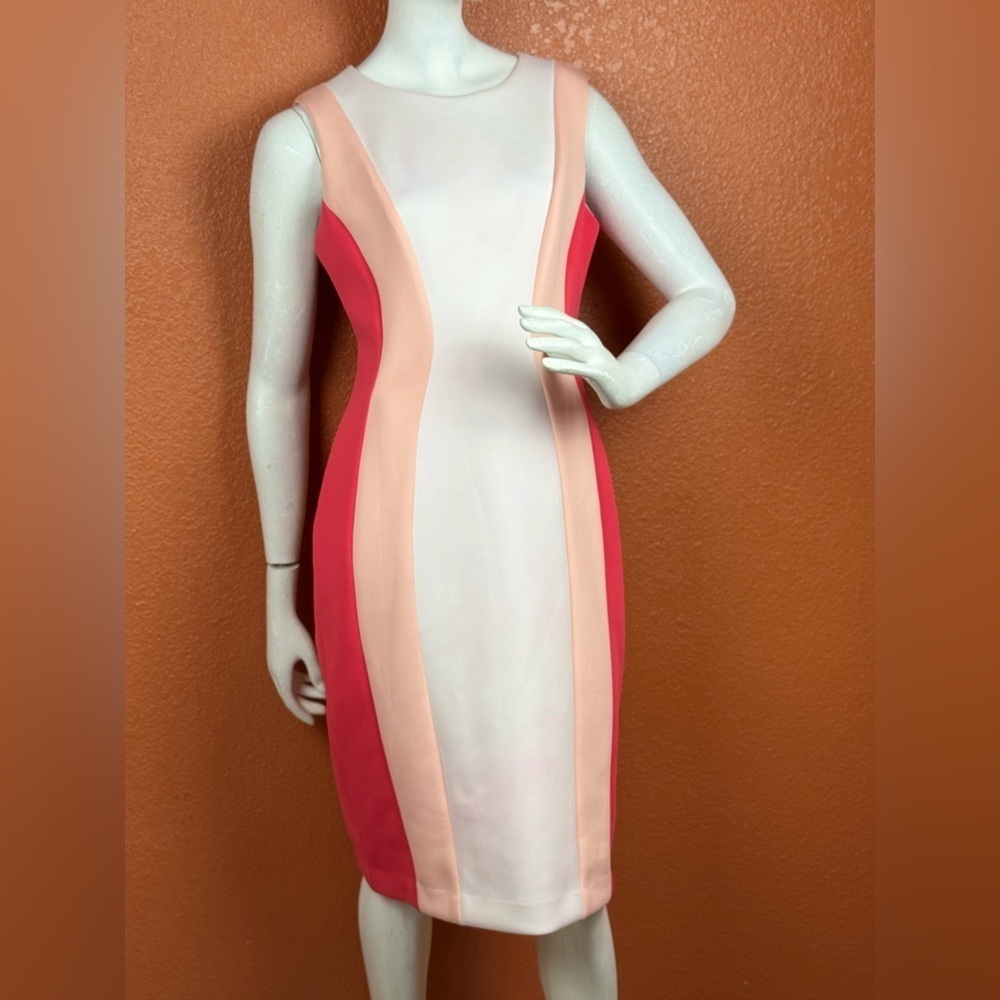Calvin Klein Elegant Colorblock Sleeveless Sheath Dress Size 10 E54
